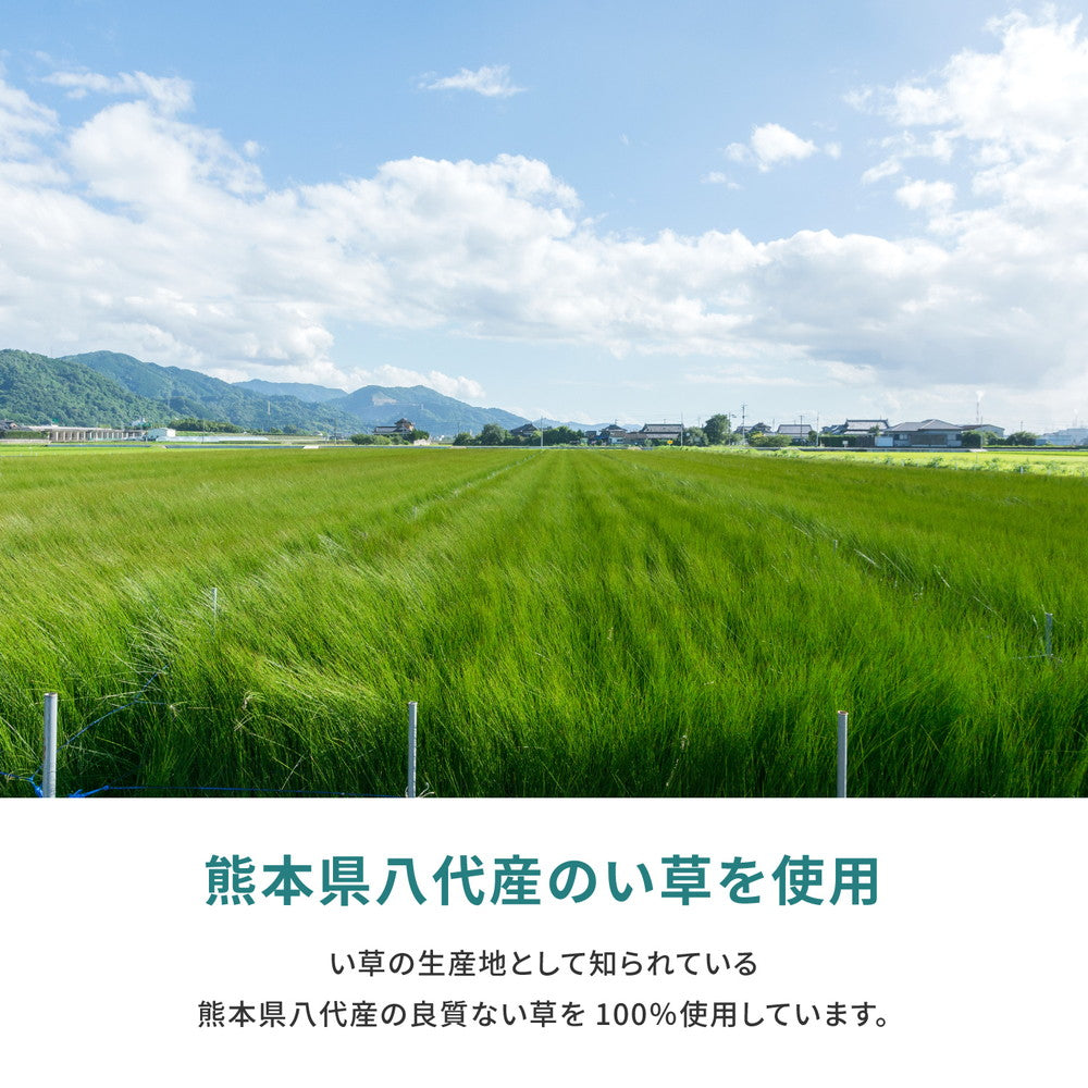 高品質な国産のい草と日本の職人の技術が織りなす双目織の上敷き 天草 本間サイズ