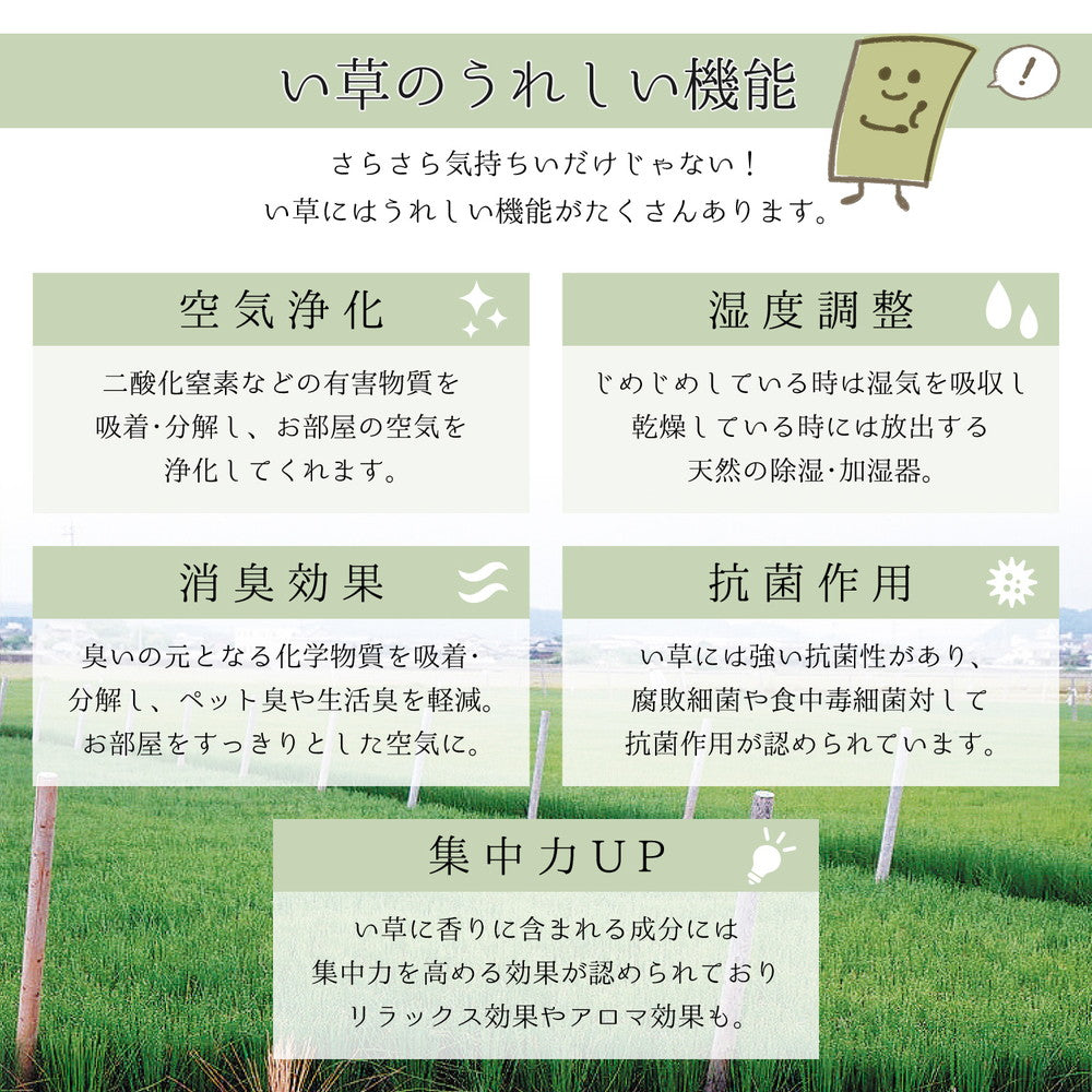 上質な国産い草のみを使用したい草ラグ 吉兆