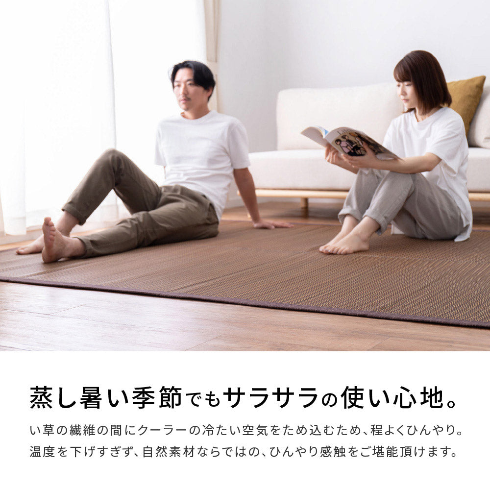 シンプルなデザインのい草ラグ 複数の染めい草を使用 南風
