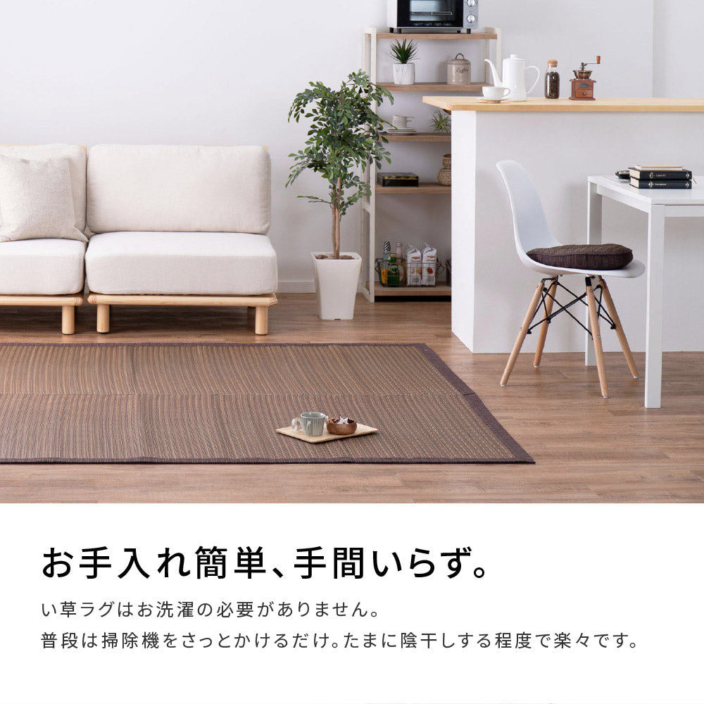 シンプルなデザインのい草ラグ 複数の染めい草を使用 南風