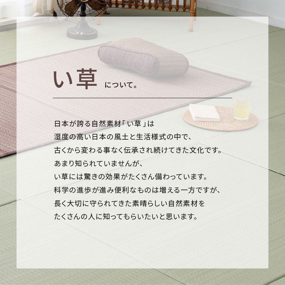 シンプルなデザインのい草ラグ 複数の染めい草を使用 南風