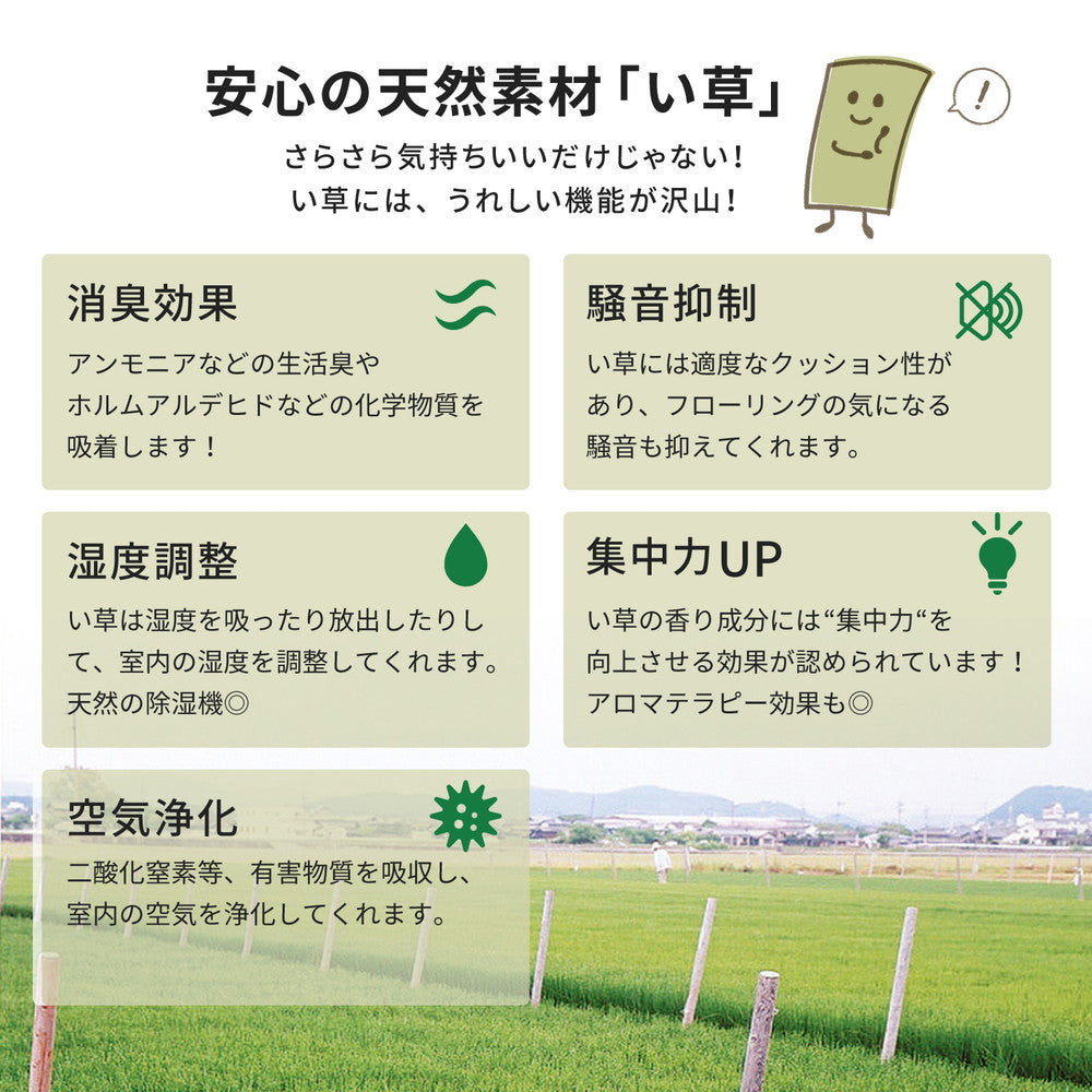 上質な国産い草のみを使用したい草ラグ 右京