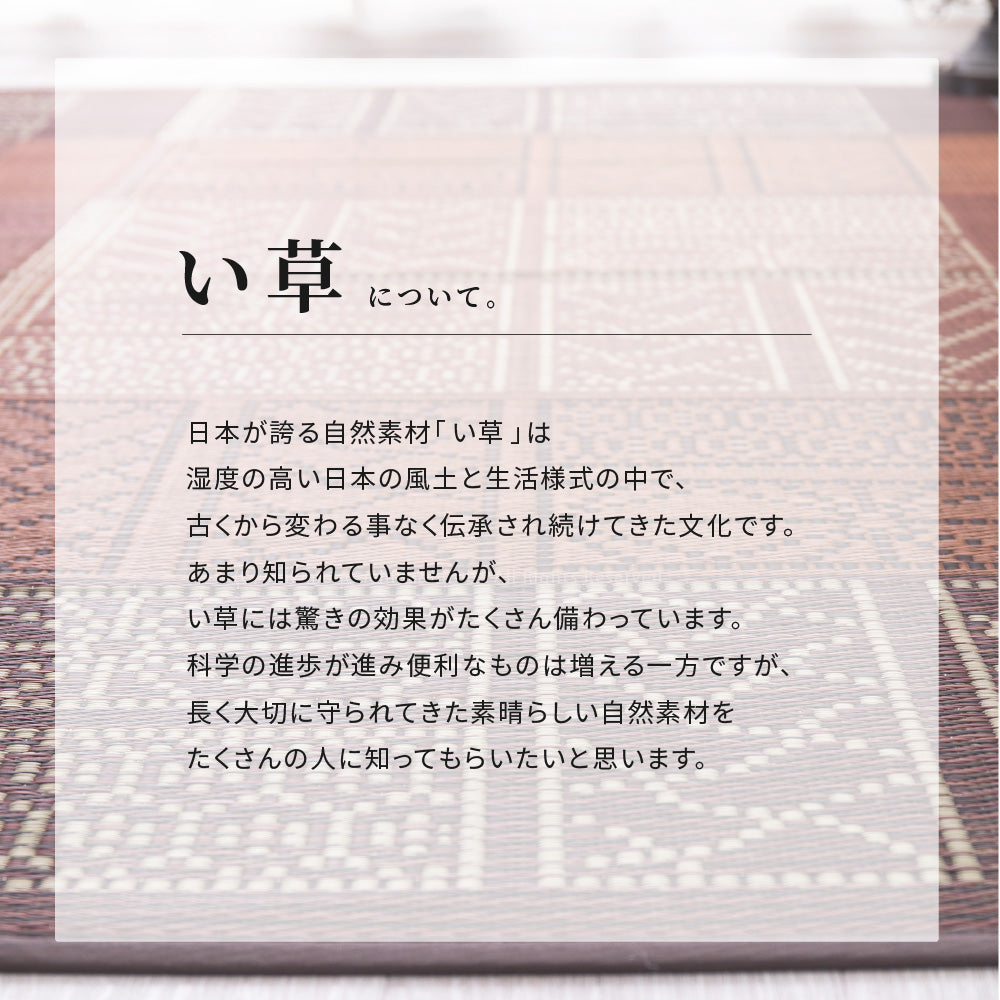 幾何柄と高級感を表現したい草ラグ 伊勢型紙の繊細な柄を表現 伊勢 裏貼り