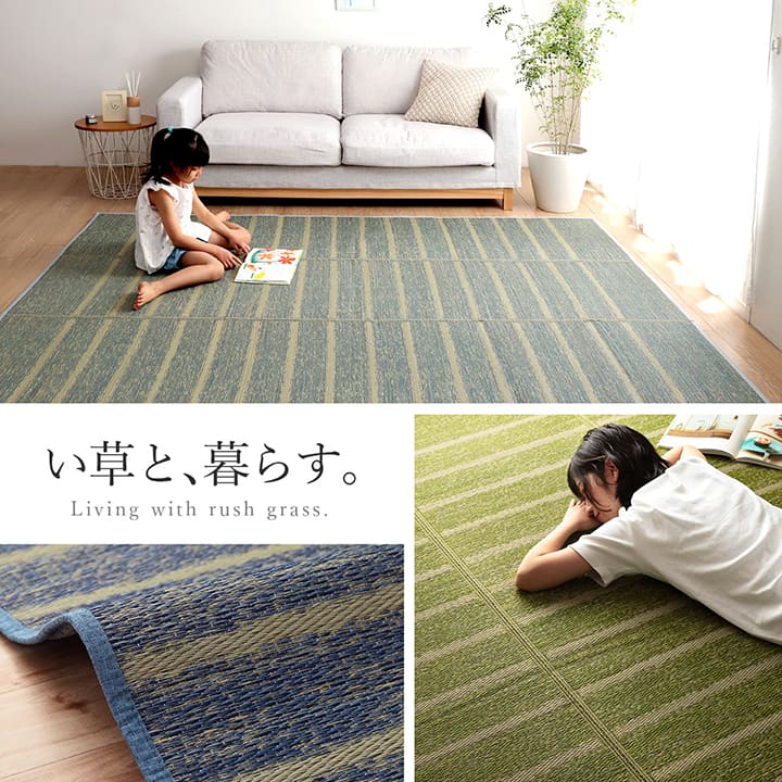 シンプルなボーダー柄のい草ラグ シルフ