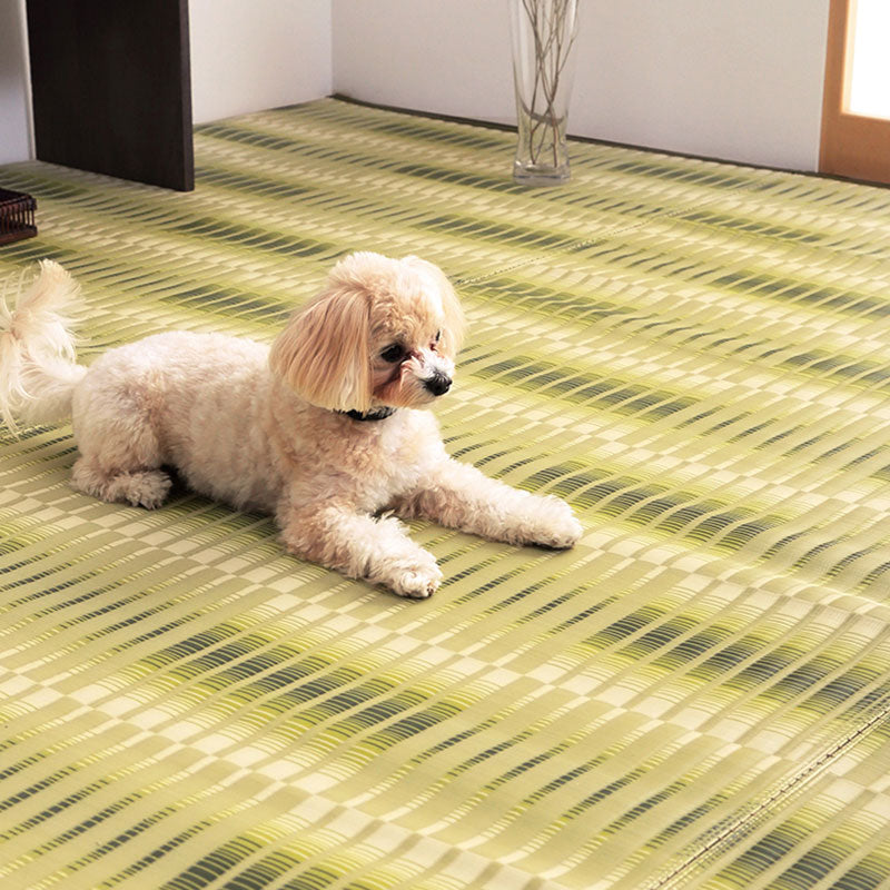 ペット対応の水洗いできるカーペット汚れに強く耐久性抜群!い草風デザイン 江戸間・本間サイズ