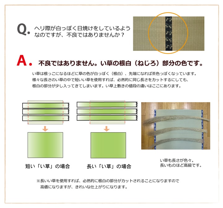 い草上敷き 松 江戸間サイズ