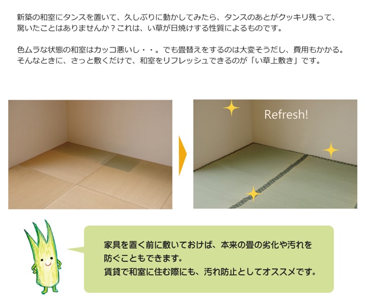 い草上敷き 松 団地間サイズ