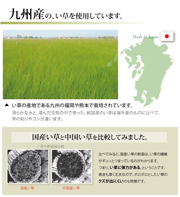 い草上敷き 松 団地間サイズ