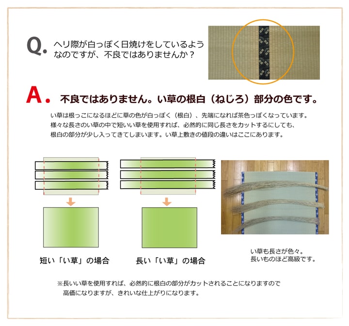 い草上敷き ほほえみ 本間サイズ