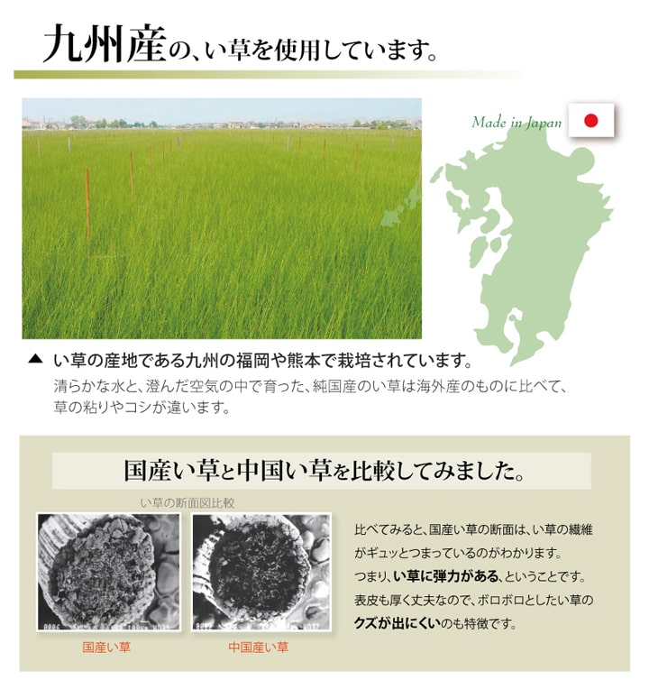 い草上敷き ほほえみ 本間サイズ