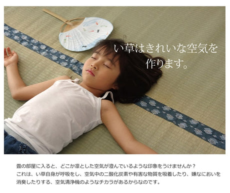 い草上敷き ほほえみ 本間サイズ
