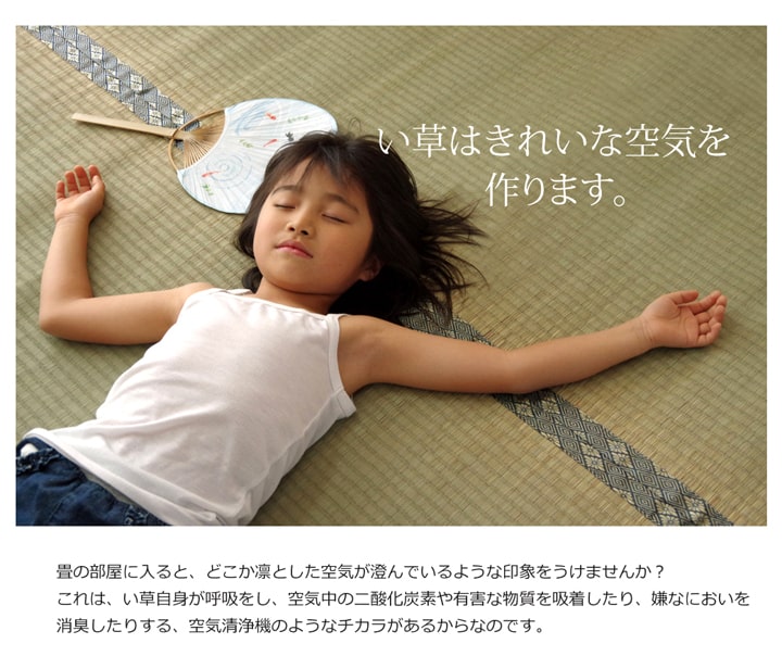 い草上敷き 湯沢 江戸間サイズ