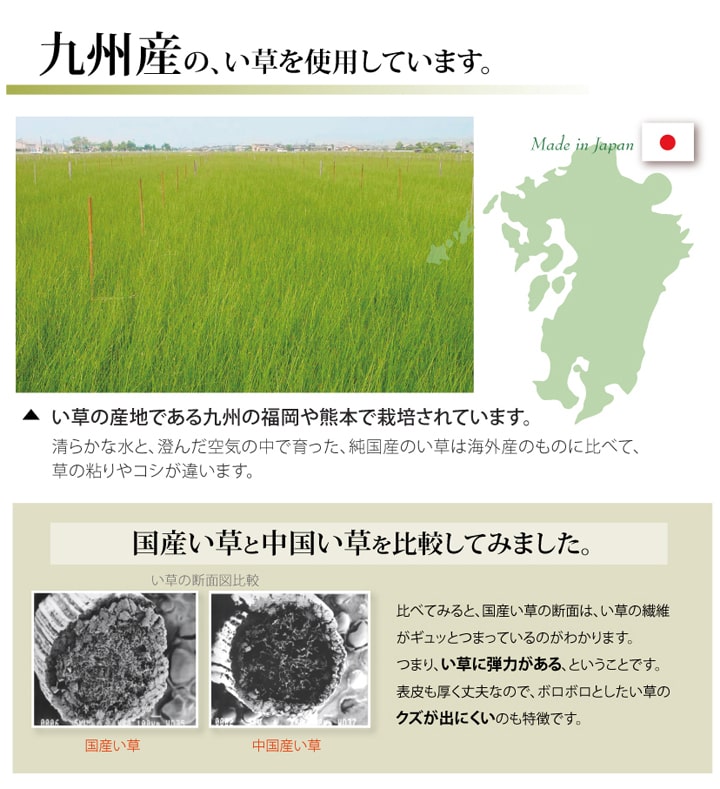 い草上敷き 梅花 江戸間サイズ