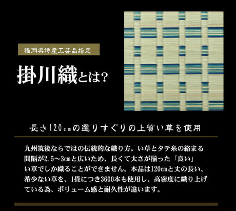 い草敷物の中でも高級品とされる「掛川織り」のカーペット 雲仙 本間サイズ