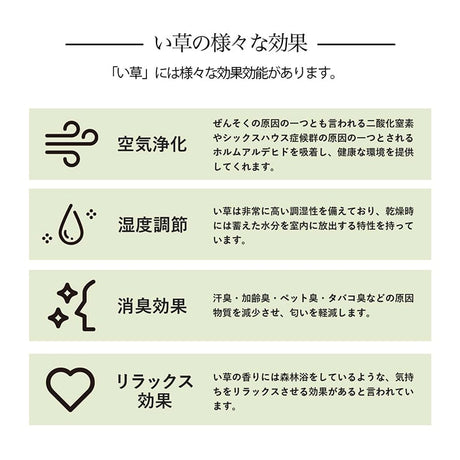 格子柄のい草カーペット 裏面不織布 団地間サイズ