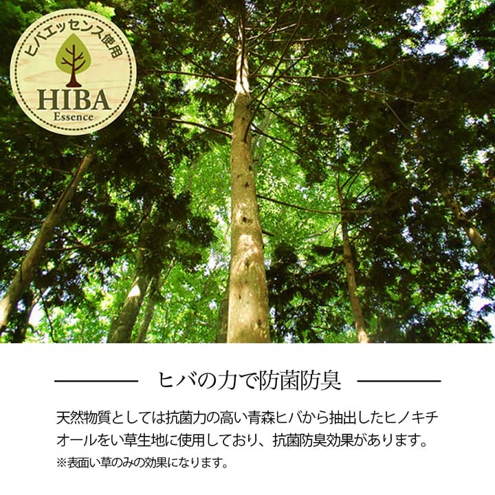 格子柄のい草カーペット 裏面不織布 団地間サイズ