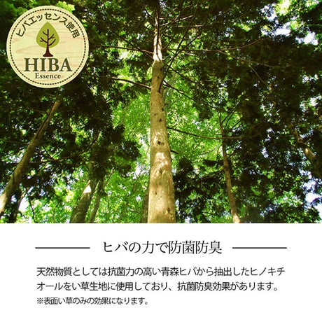 格子柄のい草カーペット 裏面不織布 江戸間サイズ