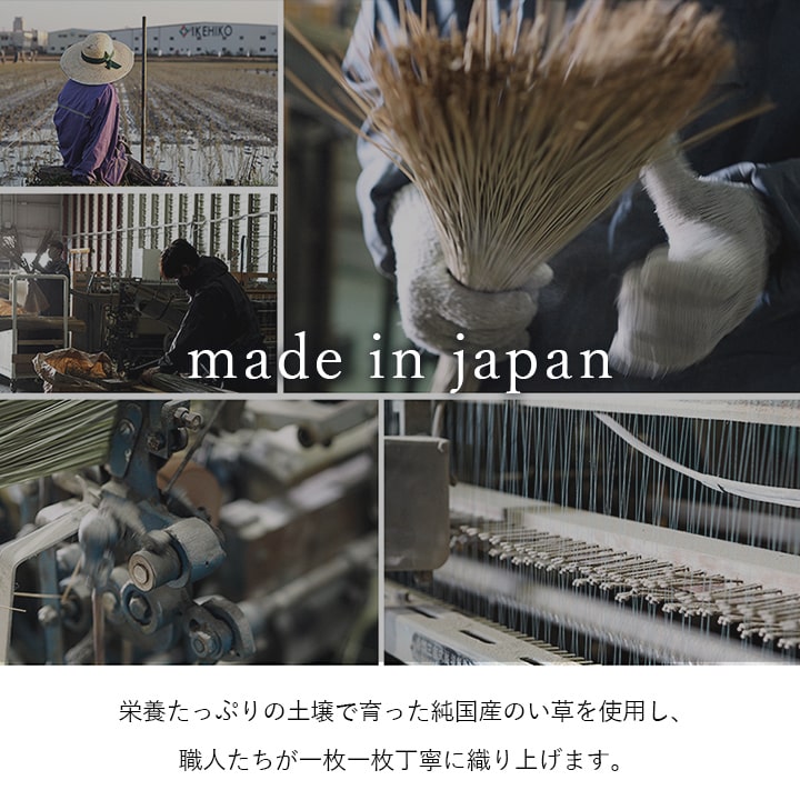 シンプルで飽きのこないブロック柄のい草カーペット ブロック