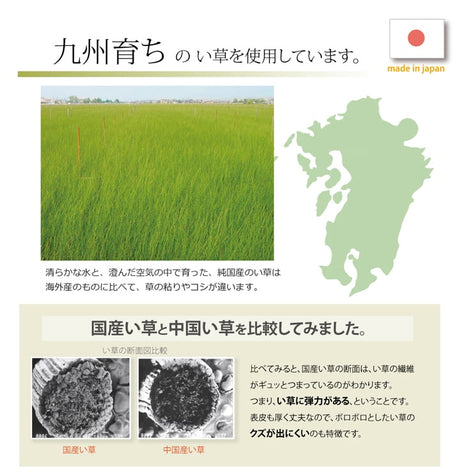 モダンデザインのい草上がり框 玄関マット 日本の職人により作られた和の美しさを持つ ランクス