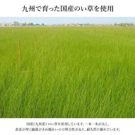 九州産のい草を使用した上がり框 なでしこ