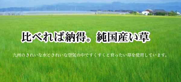 掛川織い草カーペット 奥丹後 江戸間サイズ