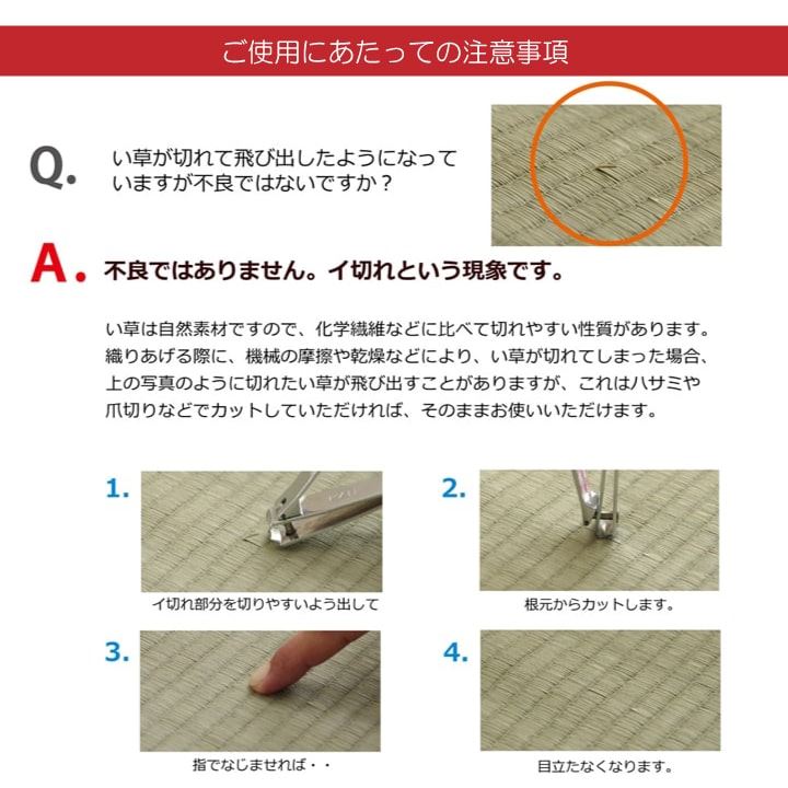 大きなリーフ柄が特徴の置き畳 デザインリーフ