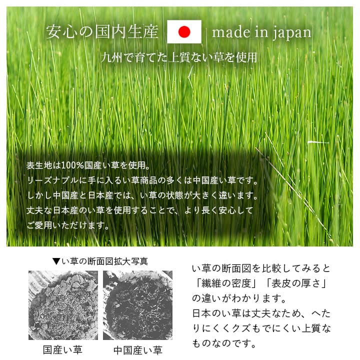 ゆったり眠れるい草マット 詩織 マットレス