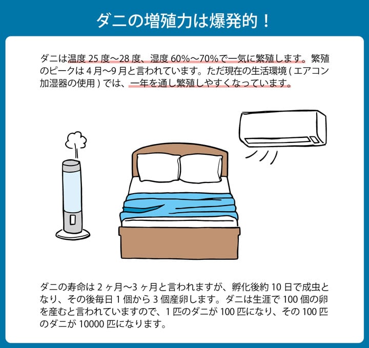 掛け布団 ダニ増殖抑制99％を実現する特殊滅ダニシートを使用