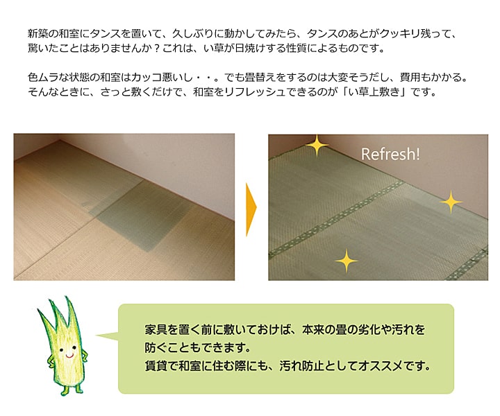 い草上敷き 不知火 三六間サイズ 熊本県八代産