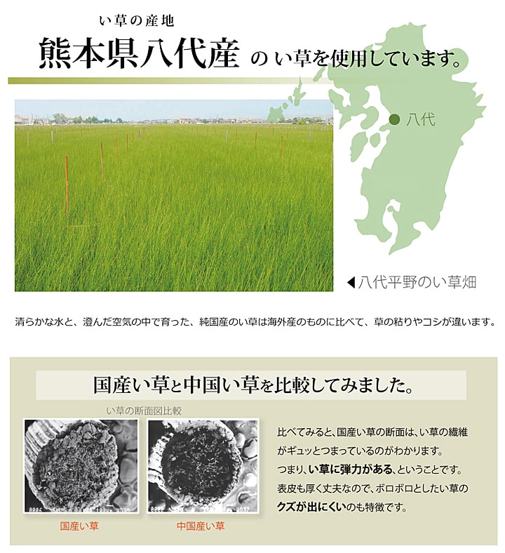 い草上敷き 不知火 江戸間サイズ 熊本県八代産