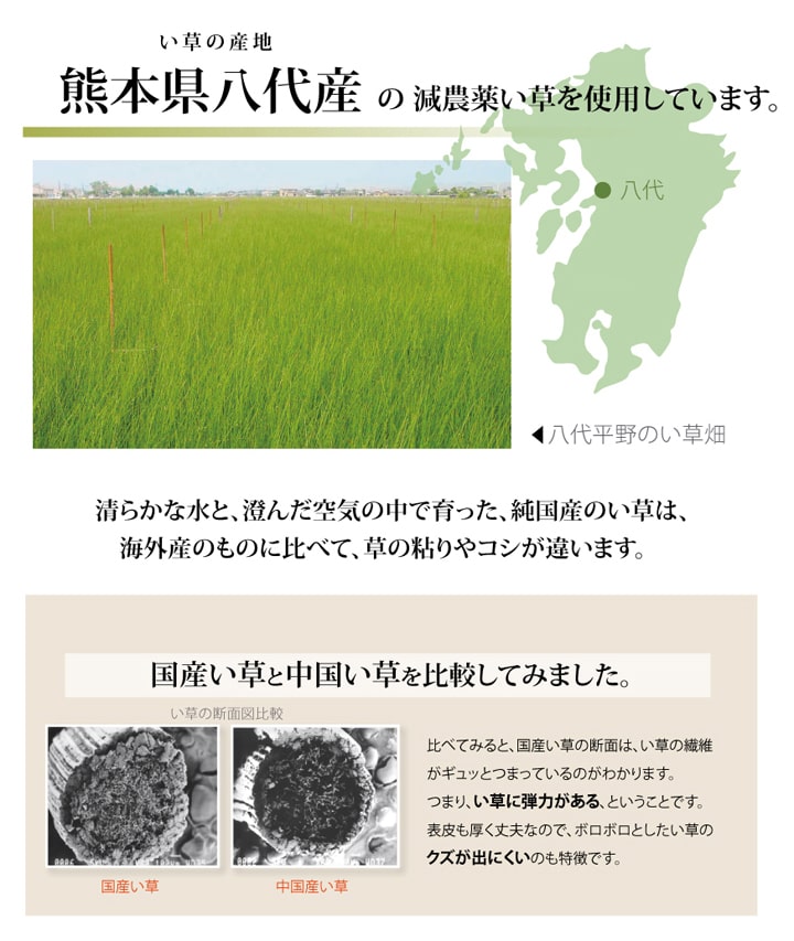 い草上敷き 西陣 団地間サイズ 熊本県八代産