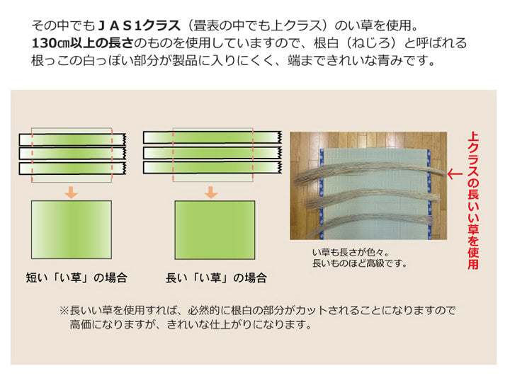 い草上敷き 西陣 六一間サイズ 熊本県八代産