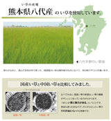 自分でカットできるい草上敷き 不知火 裏貼り加工 団地間サイズ