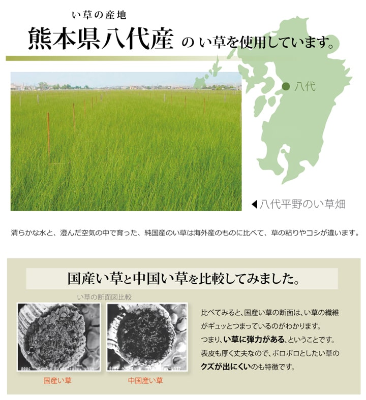 自分でカットできるい草上敷き 不知火 裏貼り加工 本間サイズ