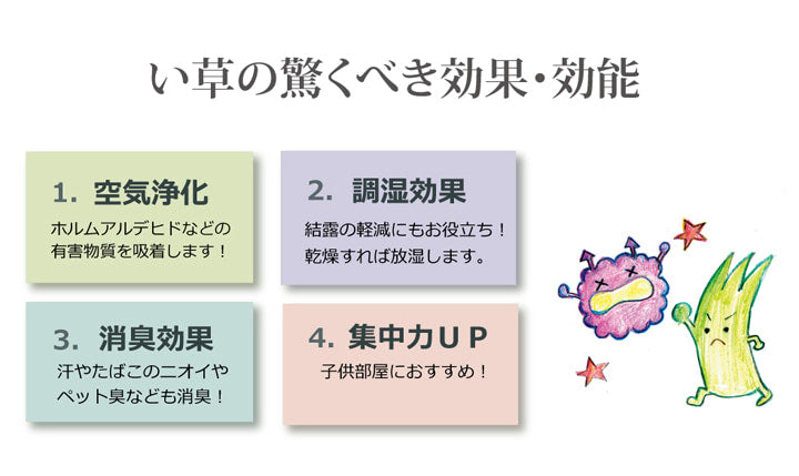 国産い草上敷き 清正 見た目の美しさと耐久性にこだわり抜いた上敷き 江戸間サイズ