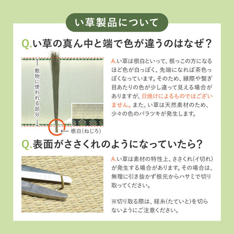 和モダンに映える、フローリングに置く畳  凛 置き畳 約82×82×2.5cm