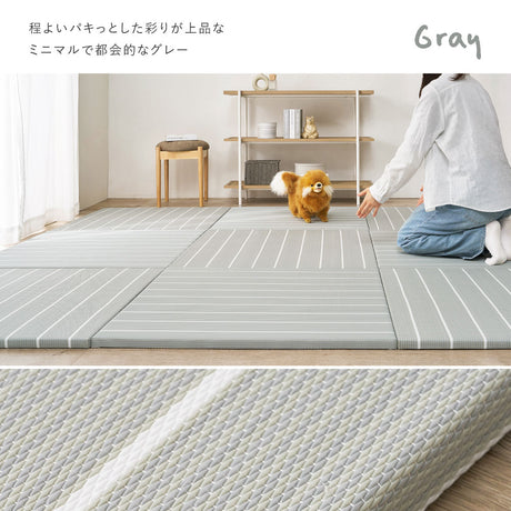 パステル調のい草風 置き畳 コトリナ 約82×82×2.5cm