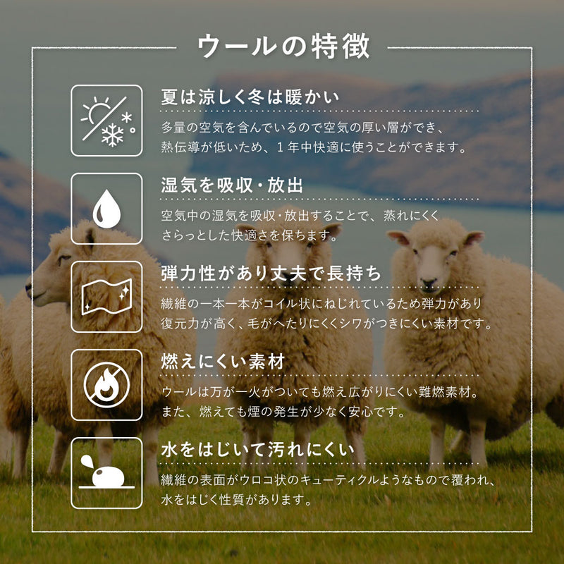 自然のぬくもりを感じさせる落ち着いた色合いが魅力のギャッベ