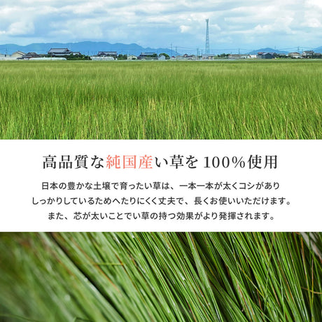 国産い草玄関マット エルモード 裏貼り