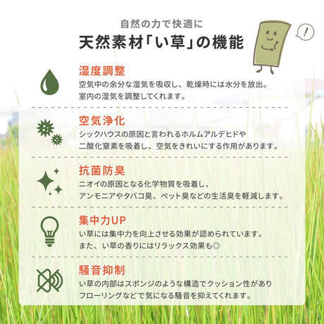 国産い草玄関マット エルモード 裏貼り