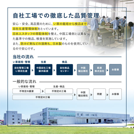 和モダンテイストのい草ラグ クレパス 中材にウレタンを約12mm入れた3層構造
