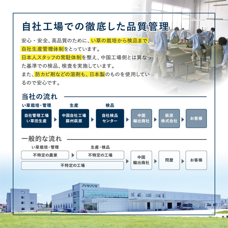 和モダンテイストのい草ラグ クレパス 中材にウレタンを約12mm入れた3層構造