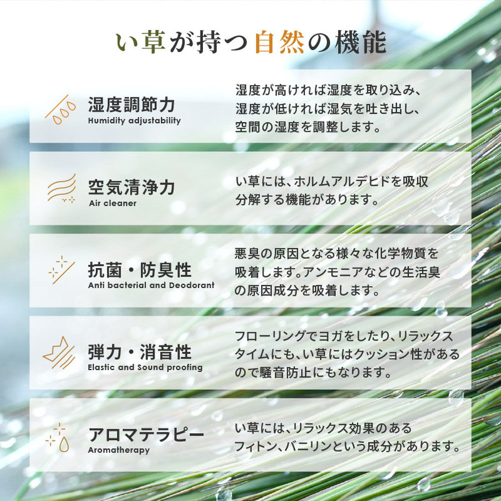 敷き詰めサイズのござカーペット 若月 江戸間サイズ 濃いめの染めい草を使った和モダン 裏貼りなし