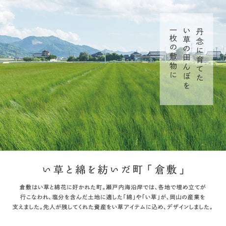 国産い草カーペット せとのと 倉ノ戸 本間サイズ
