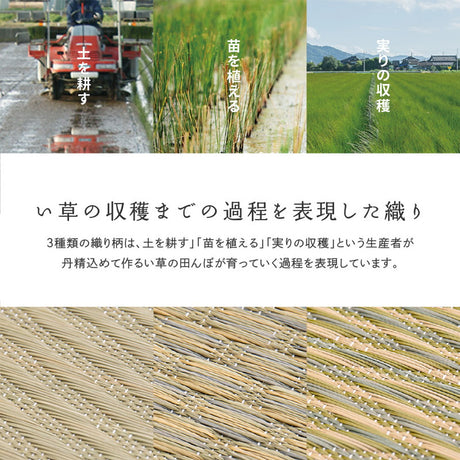 国産い草カーペット せとのと 倉ノ戸 本間サイズ