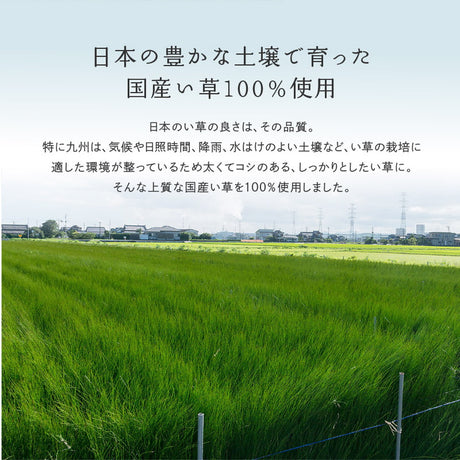 国産い草カーペット せとのと 倉ノ戸 本間サイズ