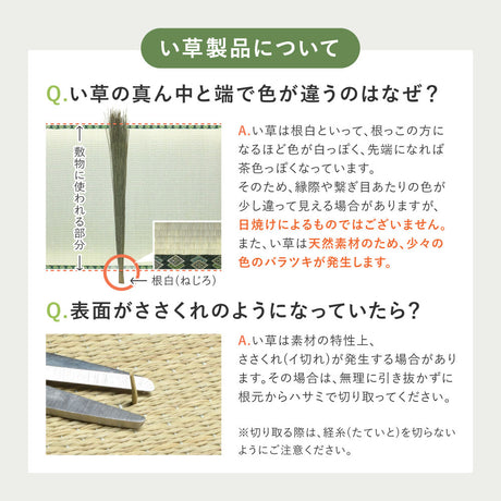 美しいグラデーションデザインのい草ラグ（裏貼り）　彩風 いろかぜ