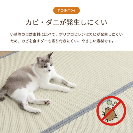 水洗いできるい草風カーペット 両面使えるリバーシブル仕様 ミーサ 江戸間サイズ