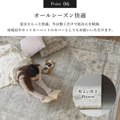 優れた耐久性と滑らかな手触りを兼ね備えたベルギー製モケットラグ ブルッセ