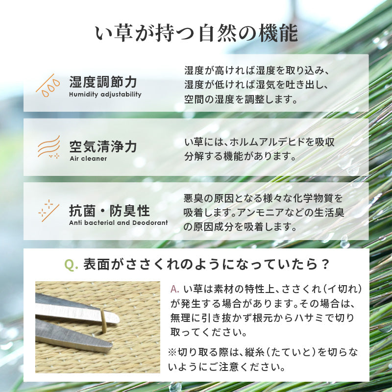 小上がり畳 畳付き収納スツール 幅120cm 高さ45cmハイタイプ